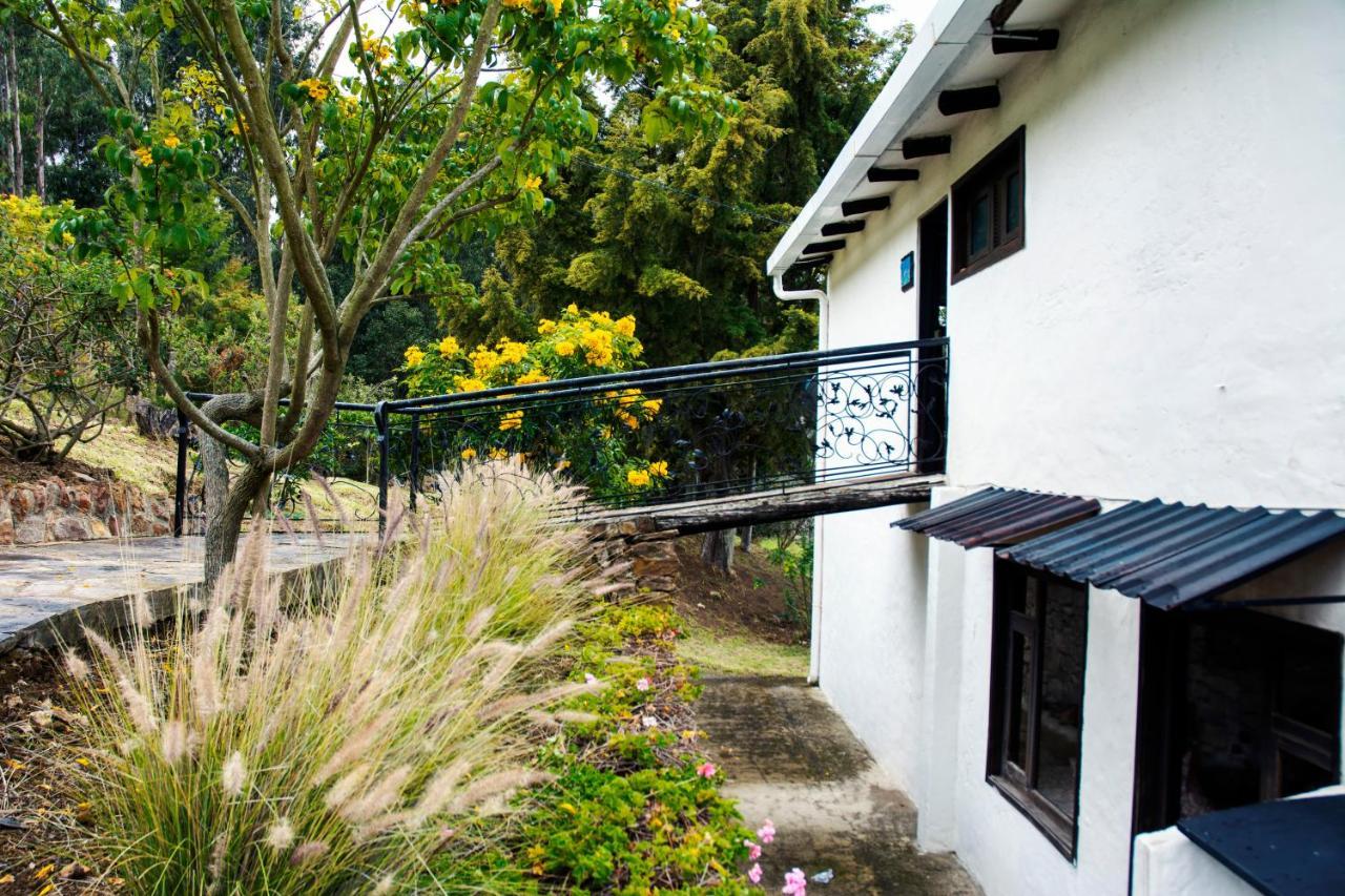 Villa Patty ติบาโซซา ภายนอก รูปภาพ